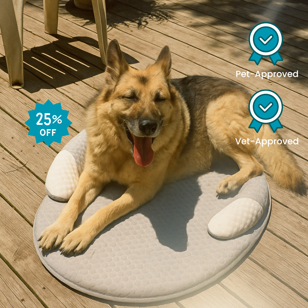 PetNOVA™ Cooling Dog Bed
