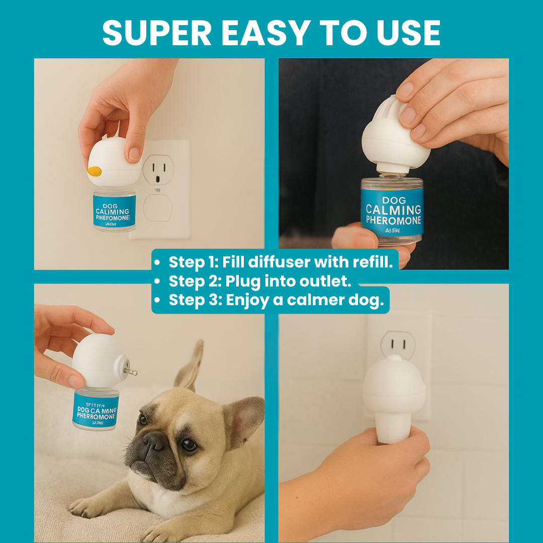 Dog Calming Pheromones Diffuser & Refills