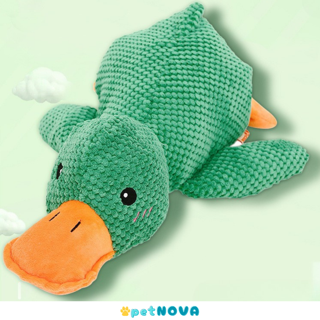 The Calming Duck