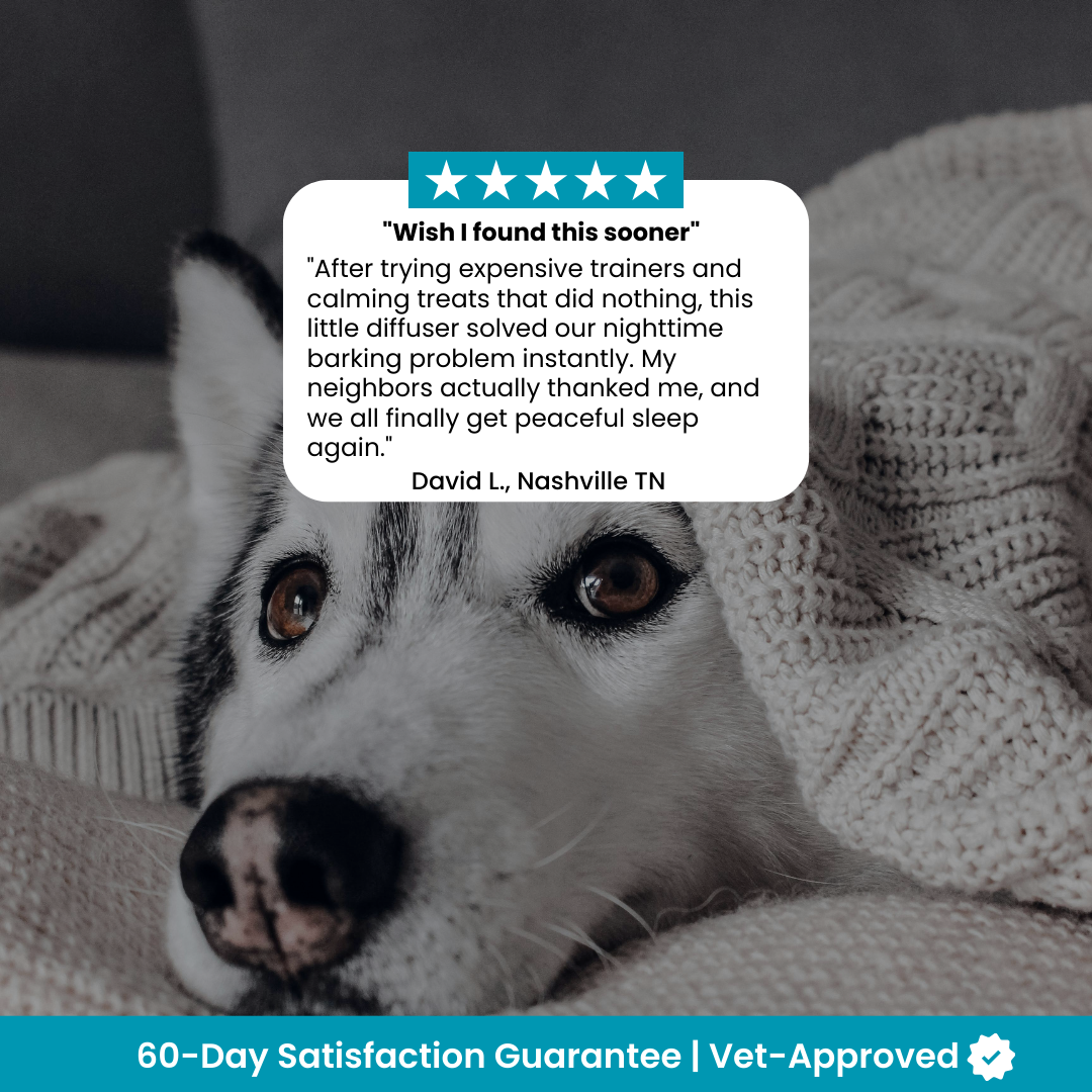 Dog Calming Pheromones Diffuser & Refills
