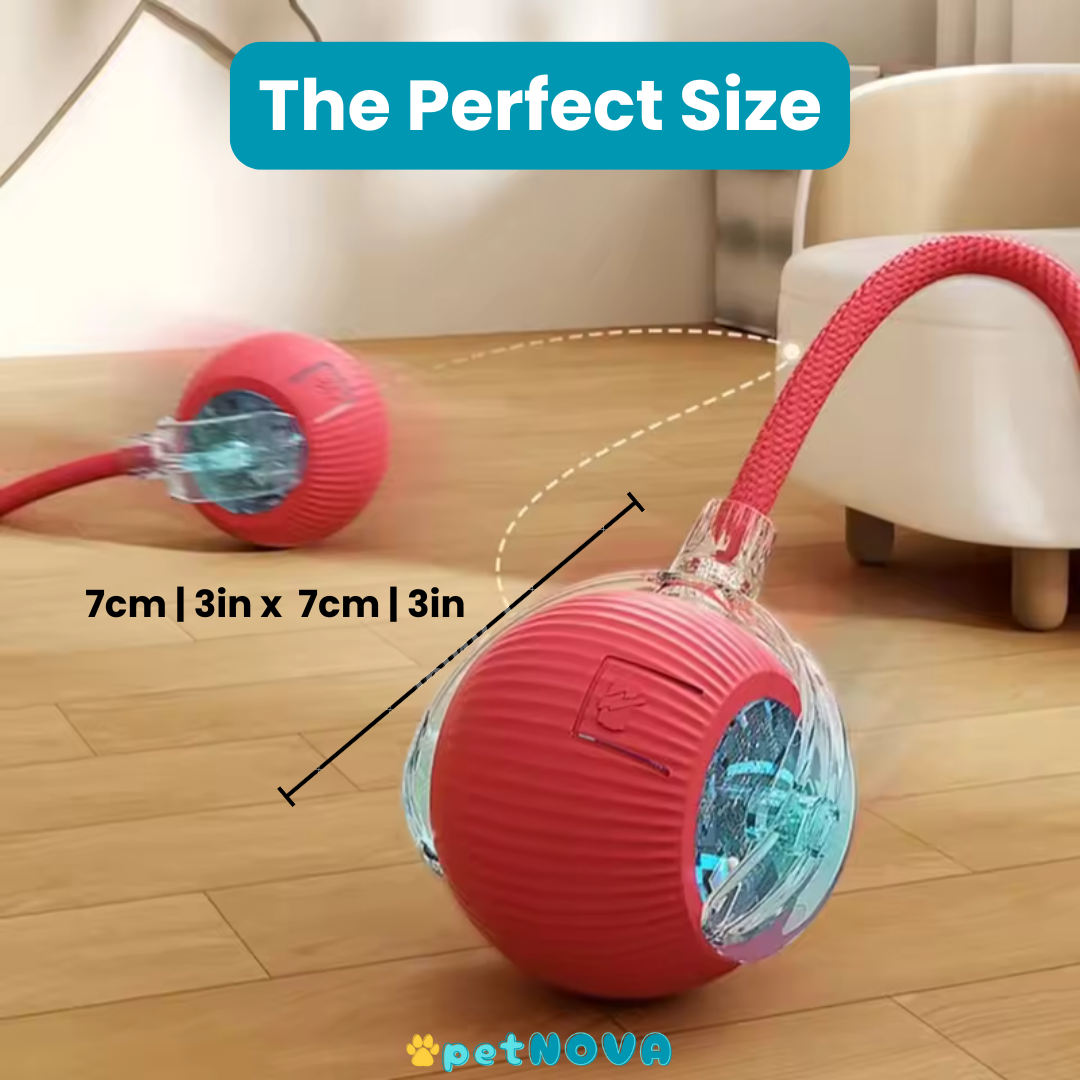 Smart Pet Ball Toy