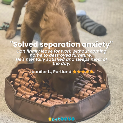 The Foraging Bowl™ - Premium Snuffle Mat & Slow Feeder Bowl