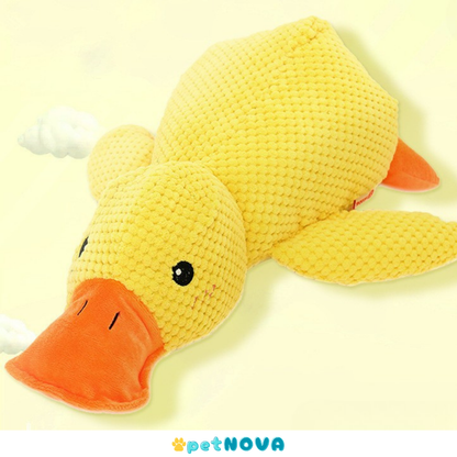 The Calming Duck