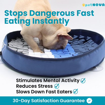 The Foraging Bowl™ - Premium Snuffle Mat & Slow Feeder Bowl