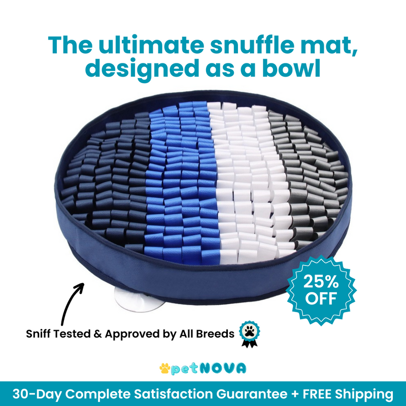 The Foraging Bowl™ - Premium Snuffle Mat & Slow Feeder Bowl