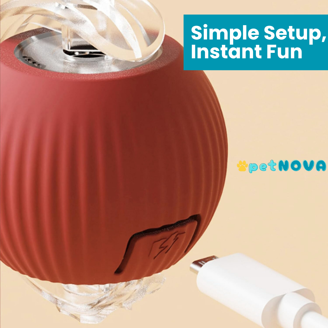 Smart Pet Ball Toy