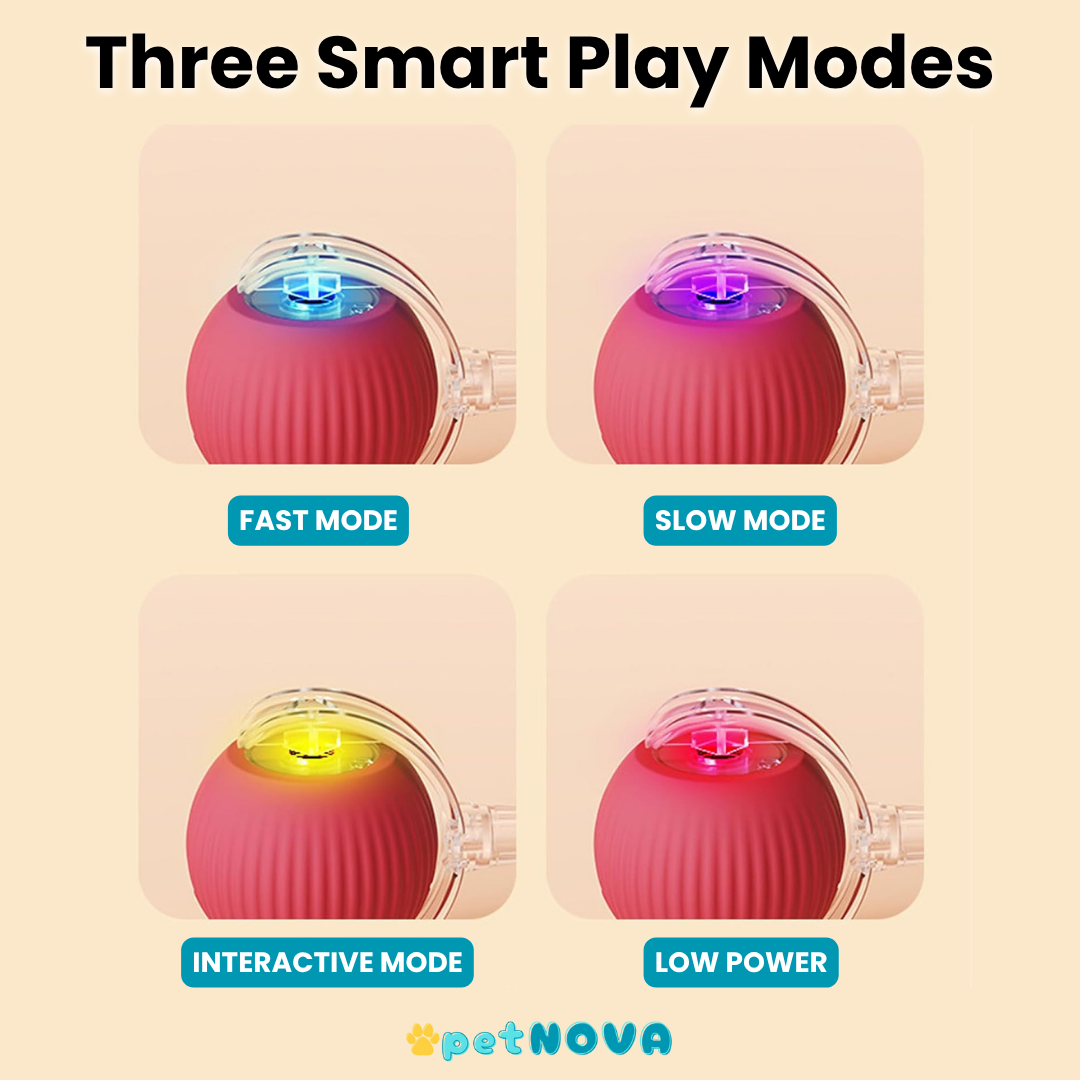 Smart Pet Ball Toy