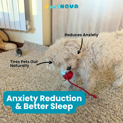 Smart Pet Ball Toy