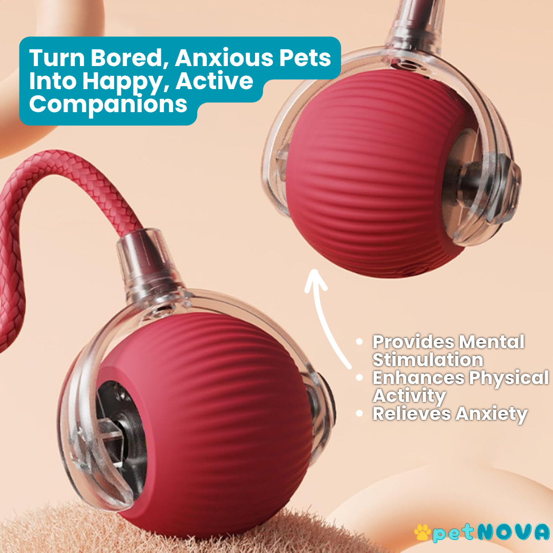 Smart Pet Ball Toy