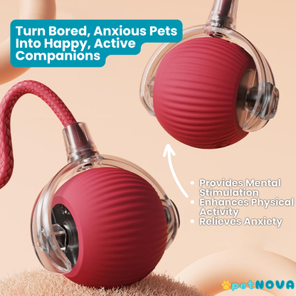 Smart Pet Ball Toy