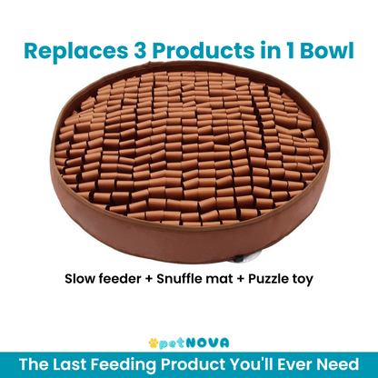 The Foraging Bowl™ - Premium Snuffle Mat & Slow Feeder Bowl
