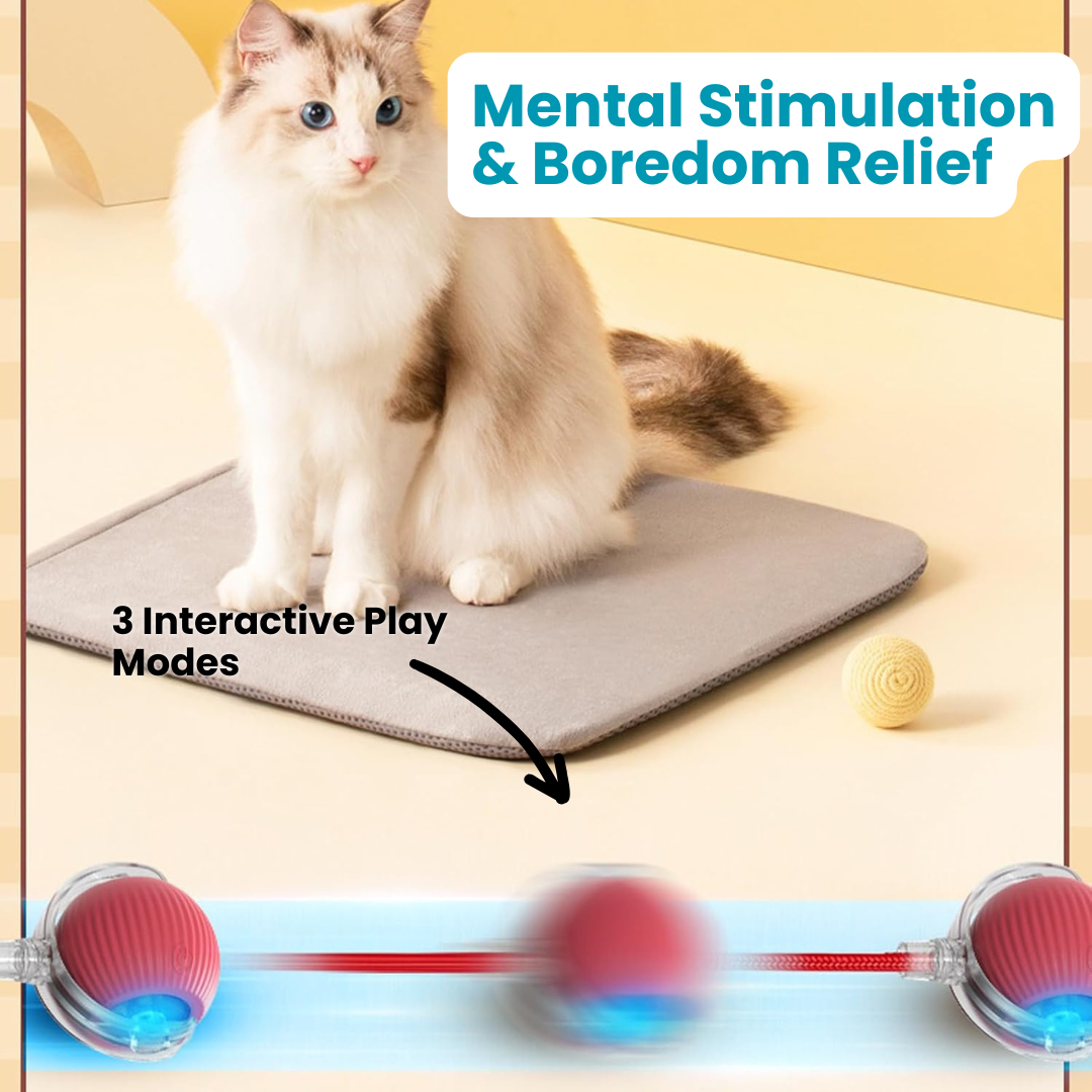 Smart Pet Ball Toy
