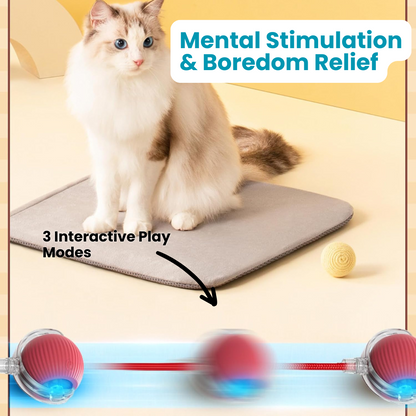 Smart Pet Ball Toy