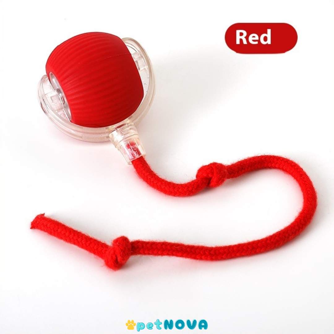 Smart Pet Ball Toy