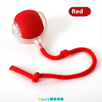 Smart Pet Ball Toy