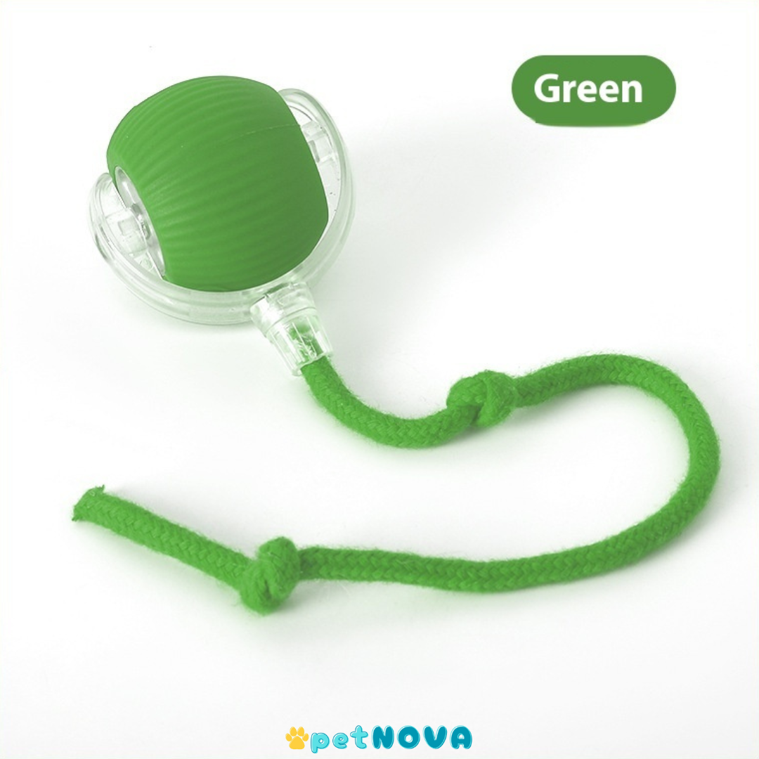Smart Pet Ball Toy