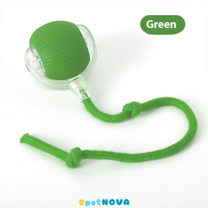 Smart Pet Ball Toy