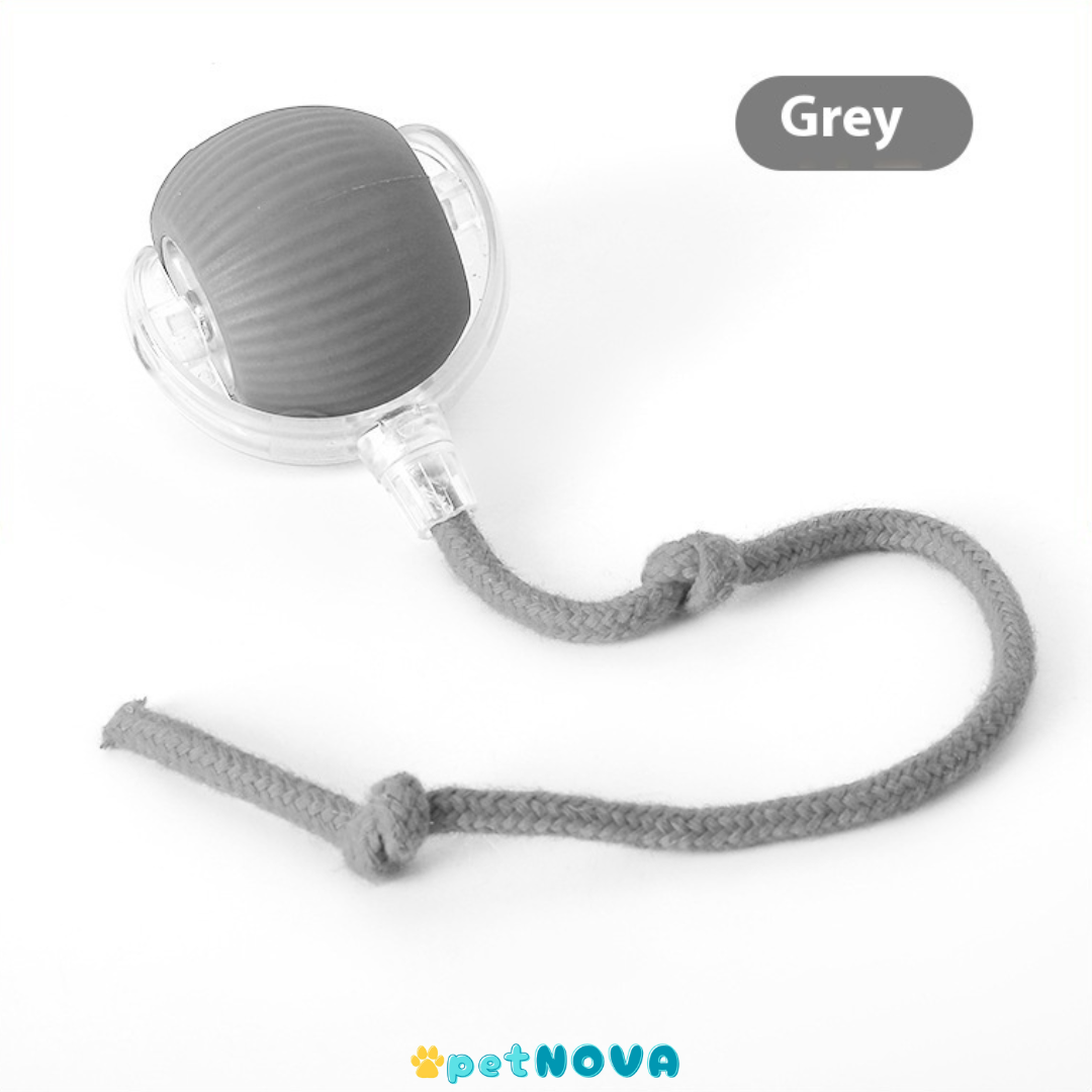 Smart Pet Ball Toy