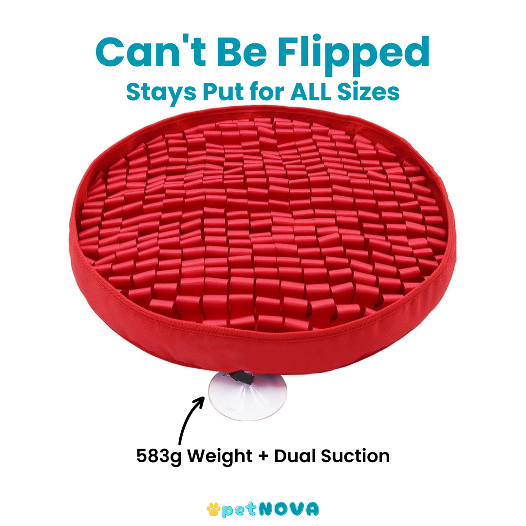The Foraging Bowl™ - Premium Snuffle Mat & Slow Feeder Bowl