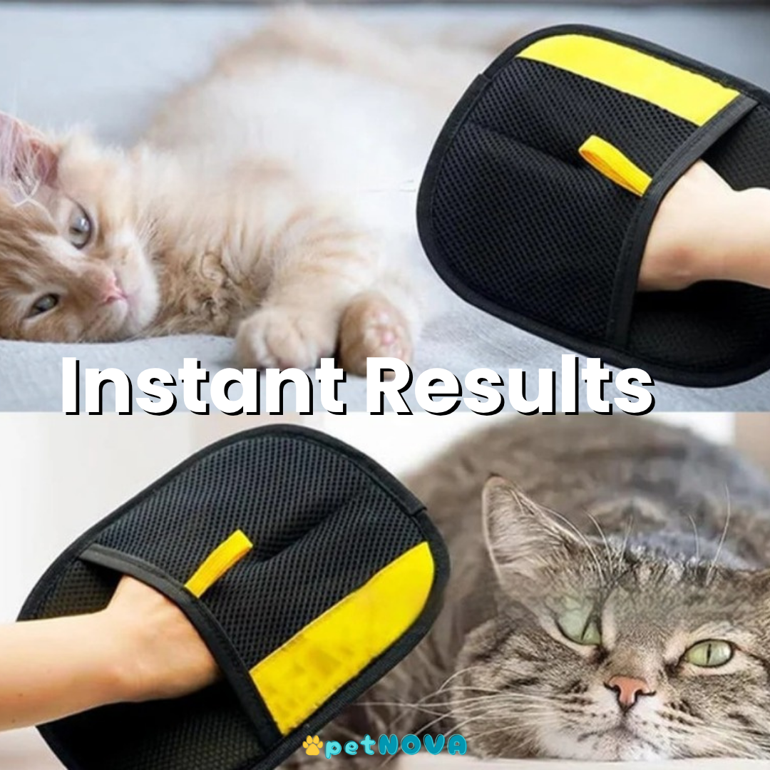 Pet Hair Remover Mitten™