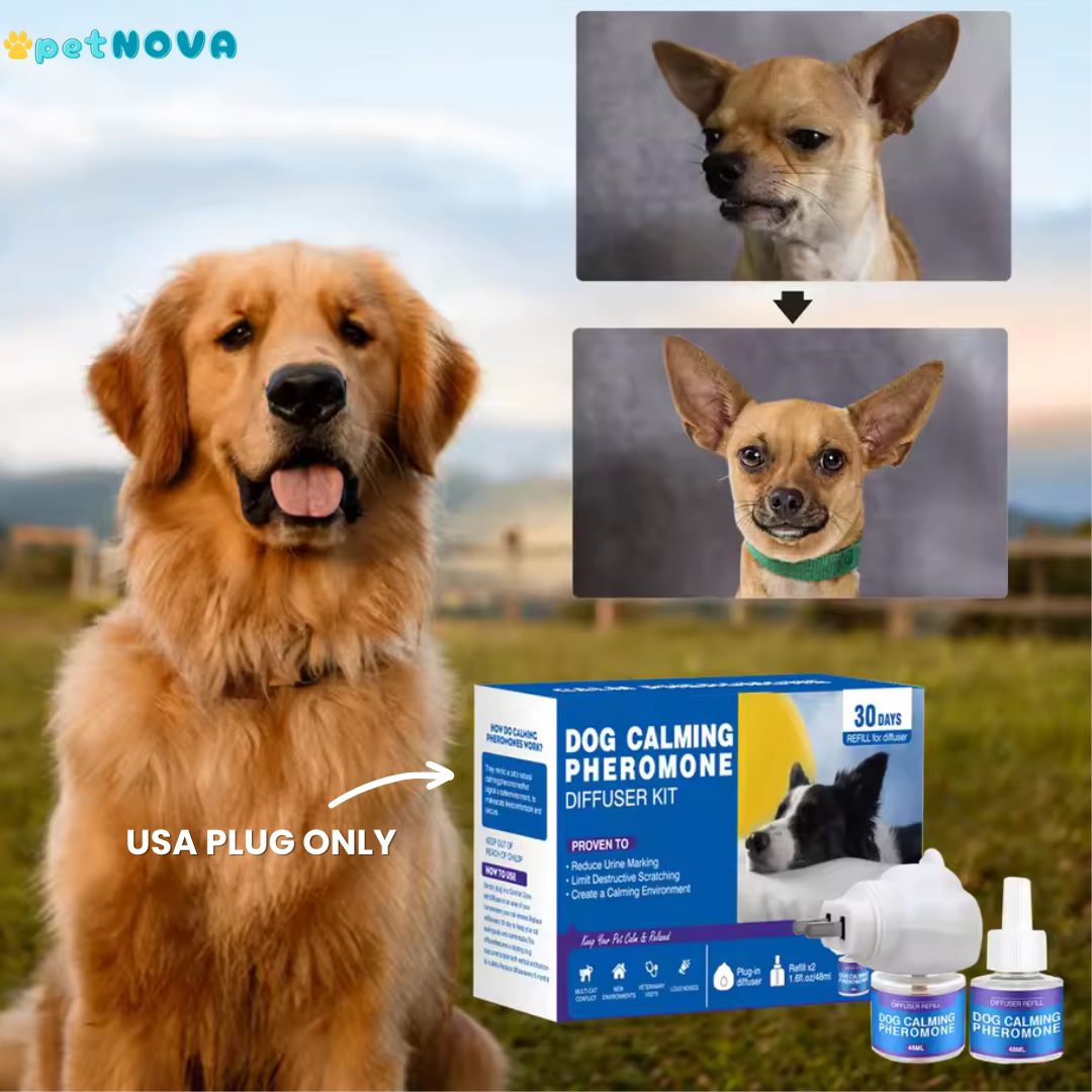 Dog Calming Pheromones Diffuser & Refills
