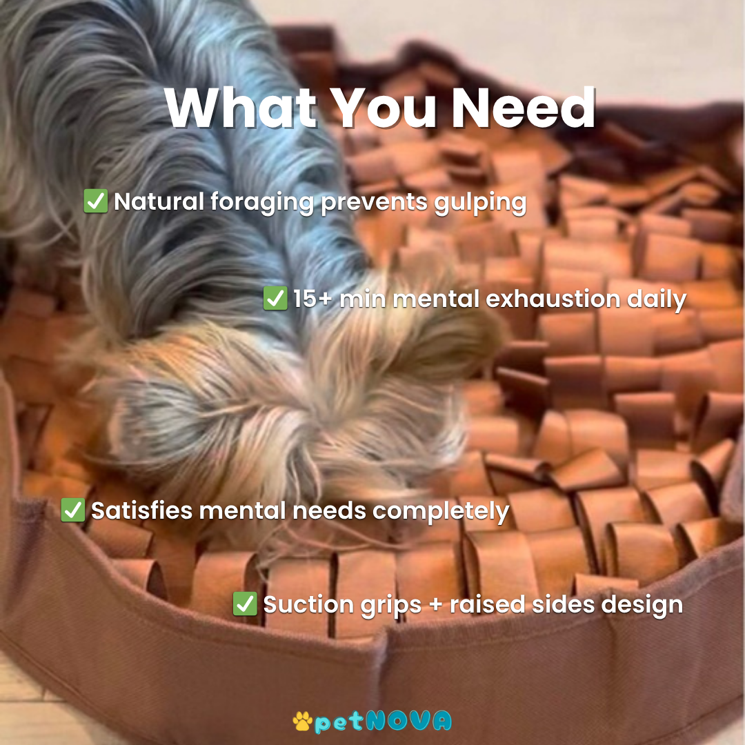The Foraging Bowl™ - Premium Snuffle Mat & Slow Feeder Bowl