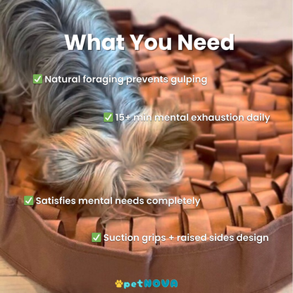 The Foraging Bowl™ - Premium Snuffle Mat & Slow Feeder Bowl