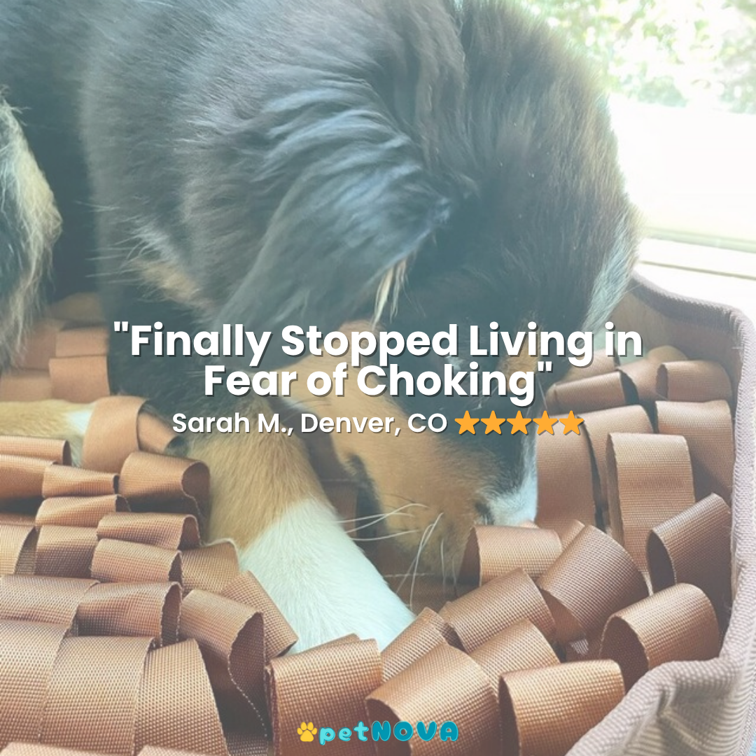 The Foraging Bowl™ - Premium Snuffle Mat & Slow Feeder Bowl