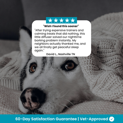 Dog Calming Pheromones Diffuser & Refills