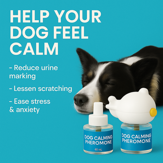Dog Calming Pheromones Diffuser & Refills