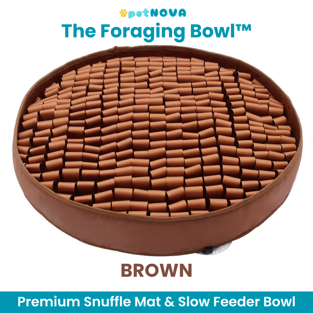 The Foraging Bowl™ - Premium Snuffle Mat & Slow Feeder Bowl