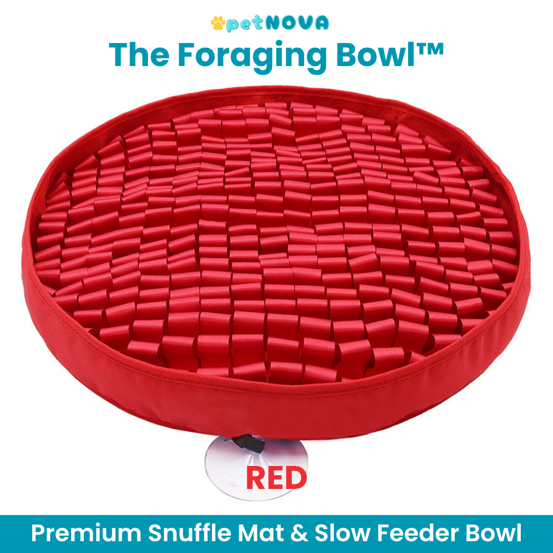 The Foraging Bowl™ - Premium Snuffle Mat & Slow Feeder Bowl