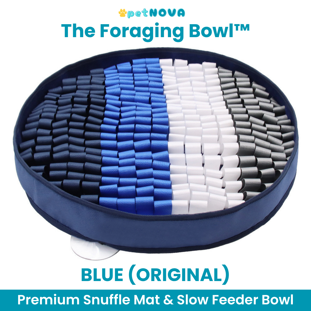 The Foraging Bowl™ - Premium Snuffle Mat & Slow Feeder Bowl
