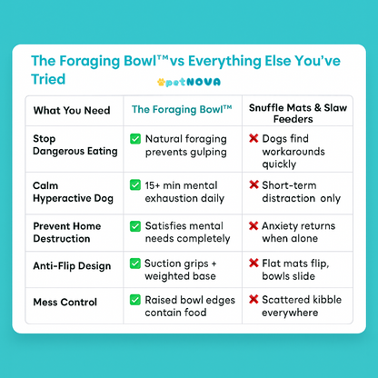 The Foraging Bowl™ - Premium Snuffle Mat & Slow Feeder Bowl