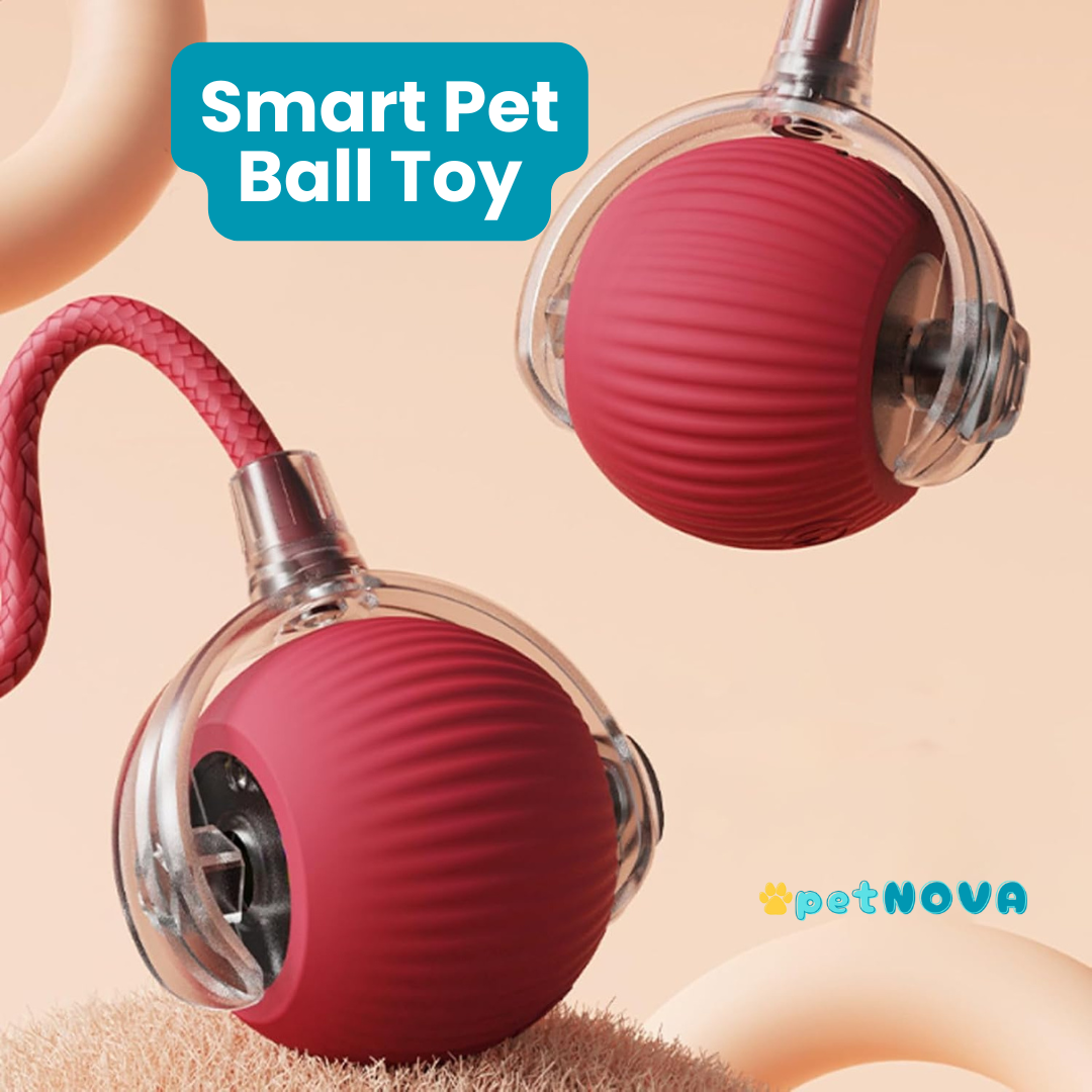 Smart Pet Ball Toy